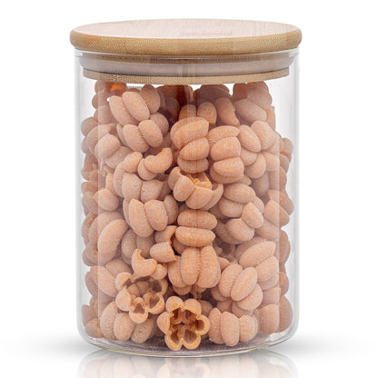 Glass Storage Jars with Airtight Lids Set